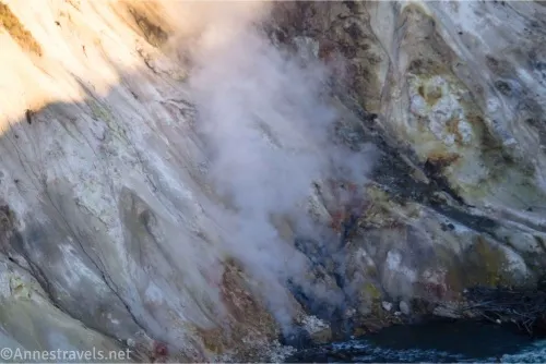 Geothermal steam rises out of a hillside 