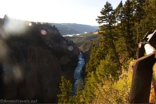 A river gorge with trees and a fence on top