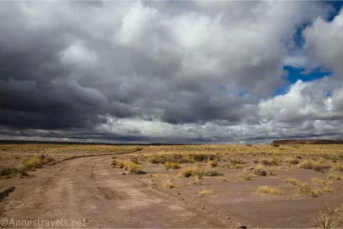 A dirt road curves across a desert plain beneath puffy clouds