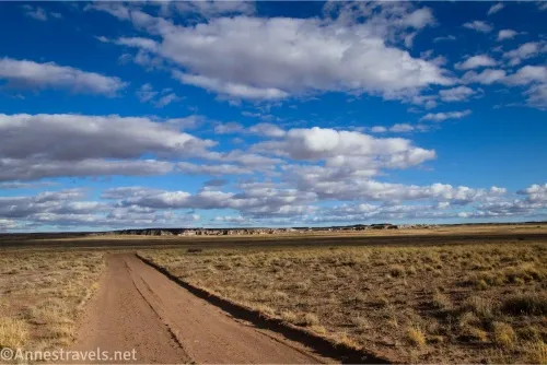 Clouds sail over a desert plain and a dirt road with distant buttes on the horizon