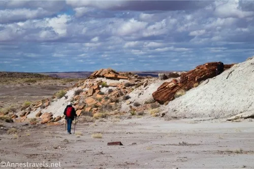 Clouds over a large petrified log and a hiker
