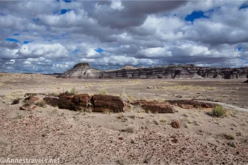 A petrified log on a desert plain with distant badlands and clouds above