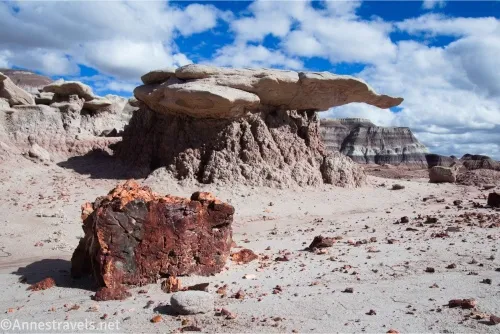 A piece of petrified wood and a wing-like rock formation under puffy white clouds