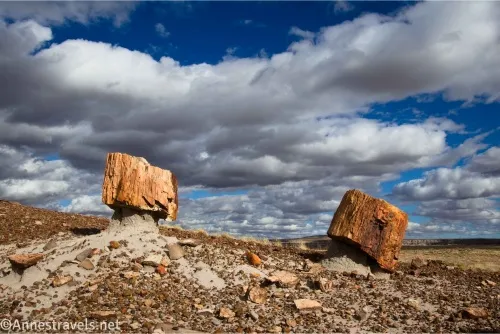 Two pieces of petrified wood on top of badland pillars below clouds in a blue sky