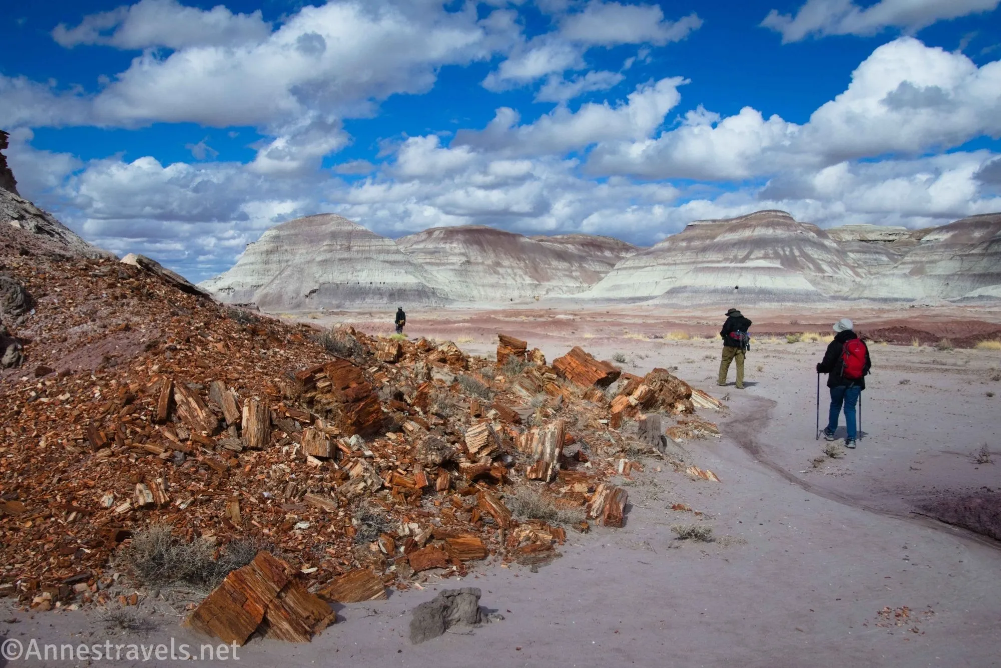 Three hikers walk by a pile of petrified wood with colorful badlands and clouds beyond