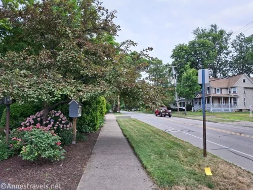A little lending library in a garden beside a sidewalk and rod with a sign, a house, and a truck
