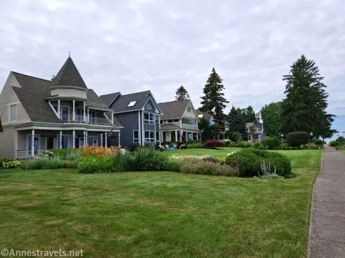 Houses and lawns beside a sidewalk 