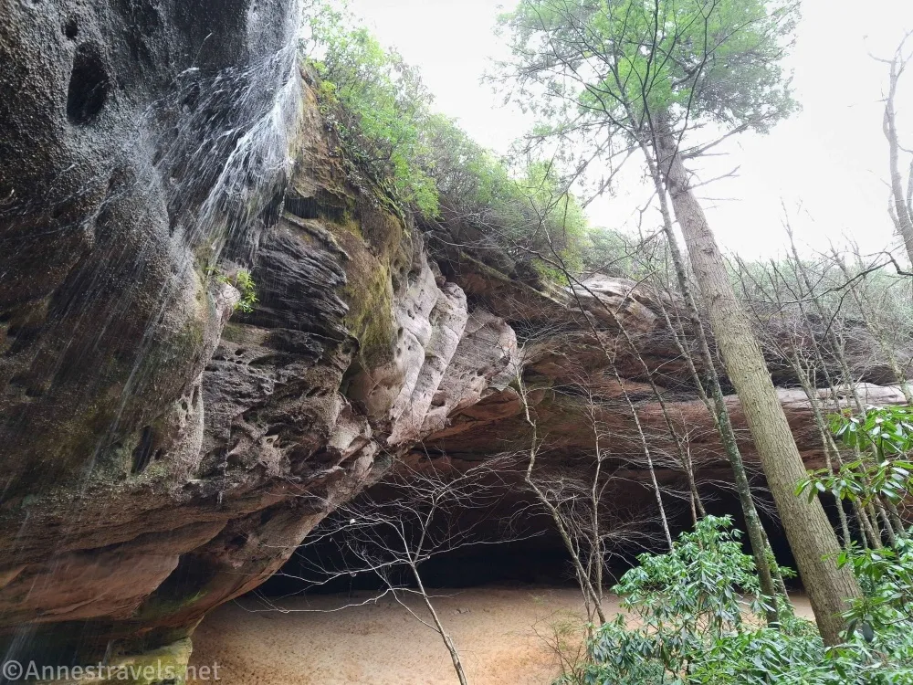 Cliffs topped with greenery have a waterfall flowing down on the left and an overhang on the right with a tree on the right towering above the overhang