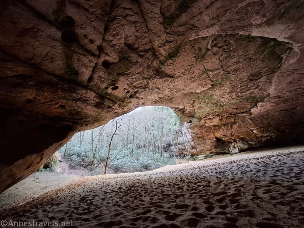 A rock overhang above a sandy floor with green trees and bushes outside of the overhang