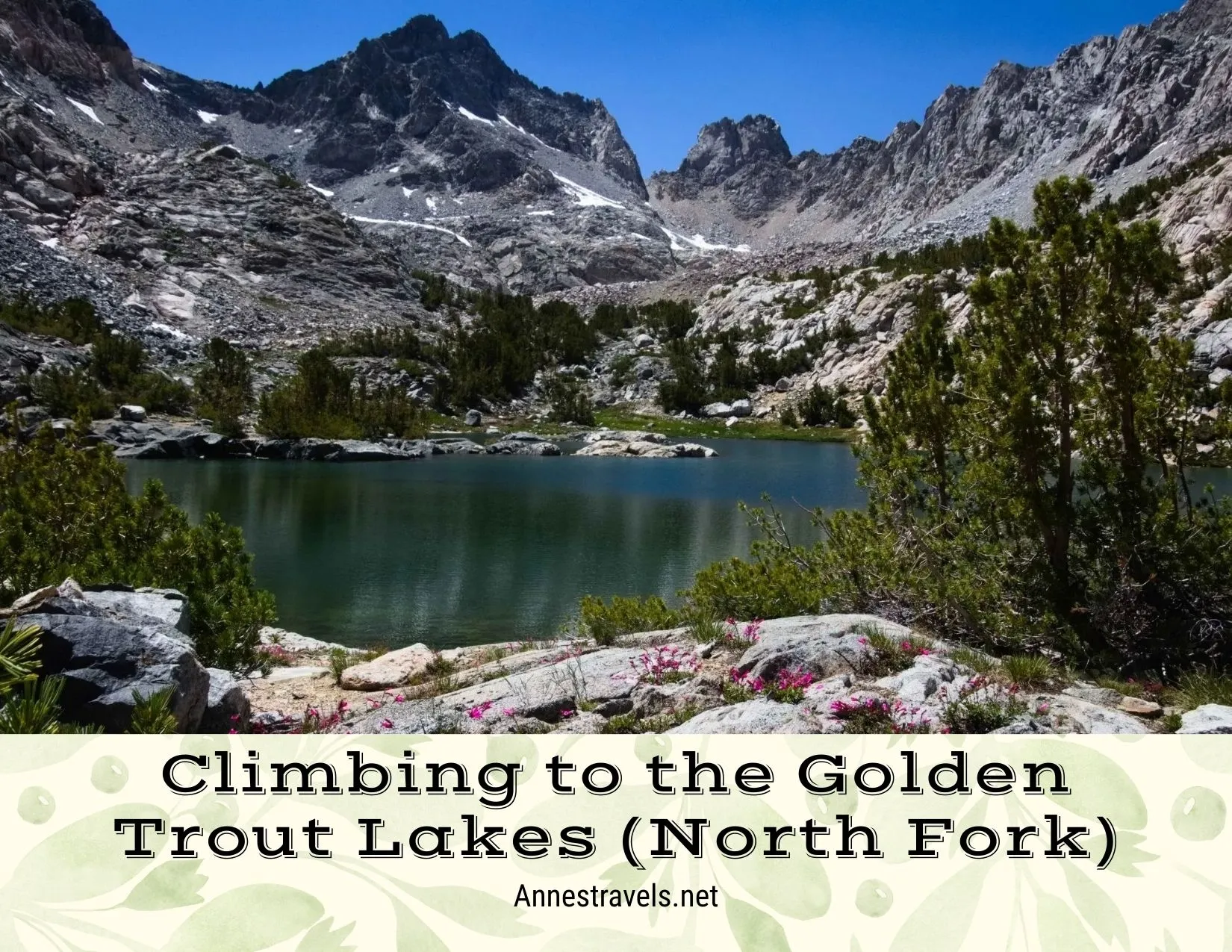 Rocky mountains ring an alpine lake framed by trees and a rock with pink flowers