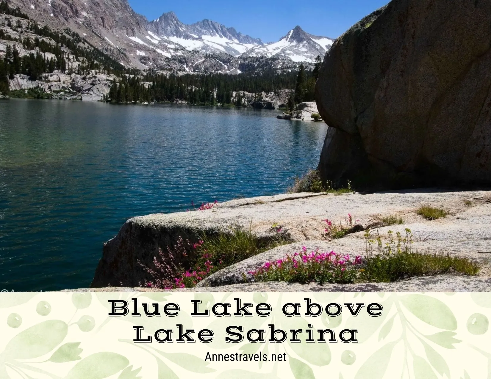 Snowy rugged mountains beyond a blue lake, a rock, and pink flowers 