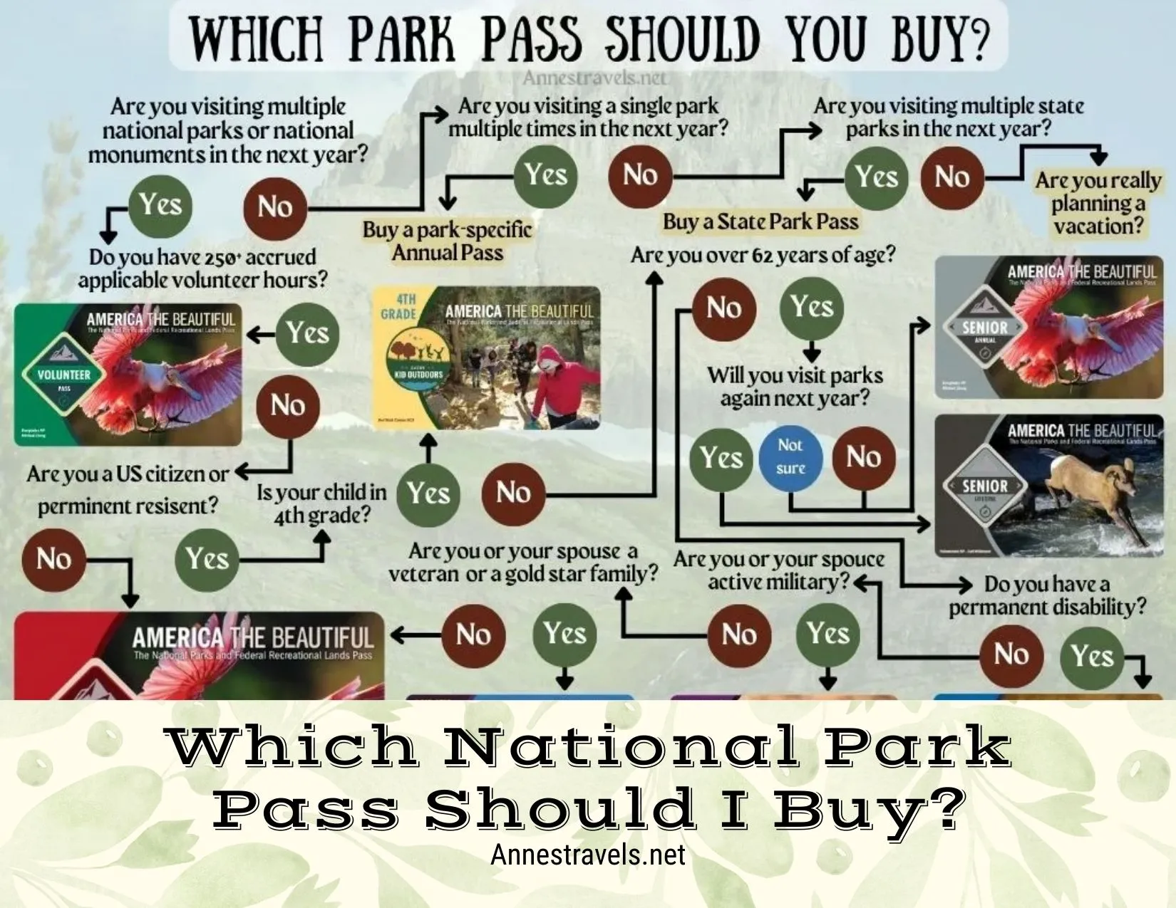 Flow chart for which park pass you might want to purchase