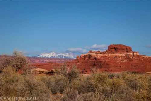 Snowy mountains and a red and white butte across a brushy flat