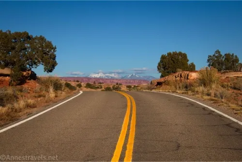 A blacktop road with a yellow center stripe and three trees with distant snowy mountains