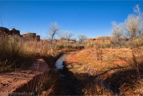 Water in a wheel rut curves through meadows and brush and leafless trees toward rock formations