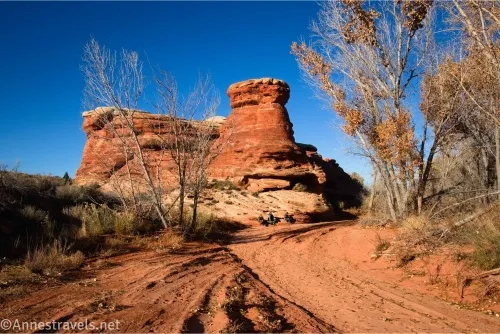 A rock formation beside a sandy road and several leafless trees