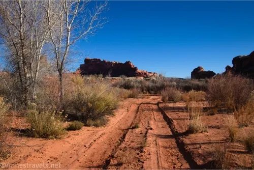 A dirt road made of red sand between desert brush with rock formations in the distance