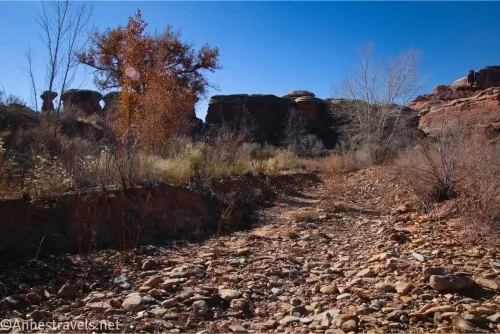 Trees and brush around a rocky streambed with rock formations in the distance