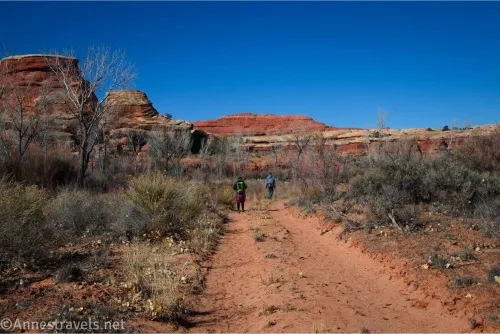 Two hikers on a dirt road between brush with white and red rocks in the distance