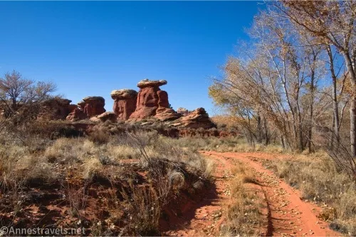 A dirt road with a grassy middle passes between fall trees and desert brush with rock formations with white tops in the distance