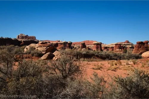 A mesquite bush, a wash, and red and white rock formations below a blue sky