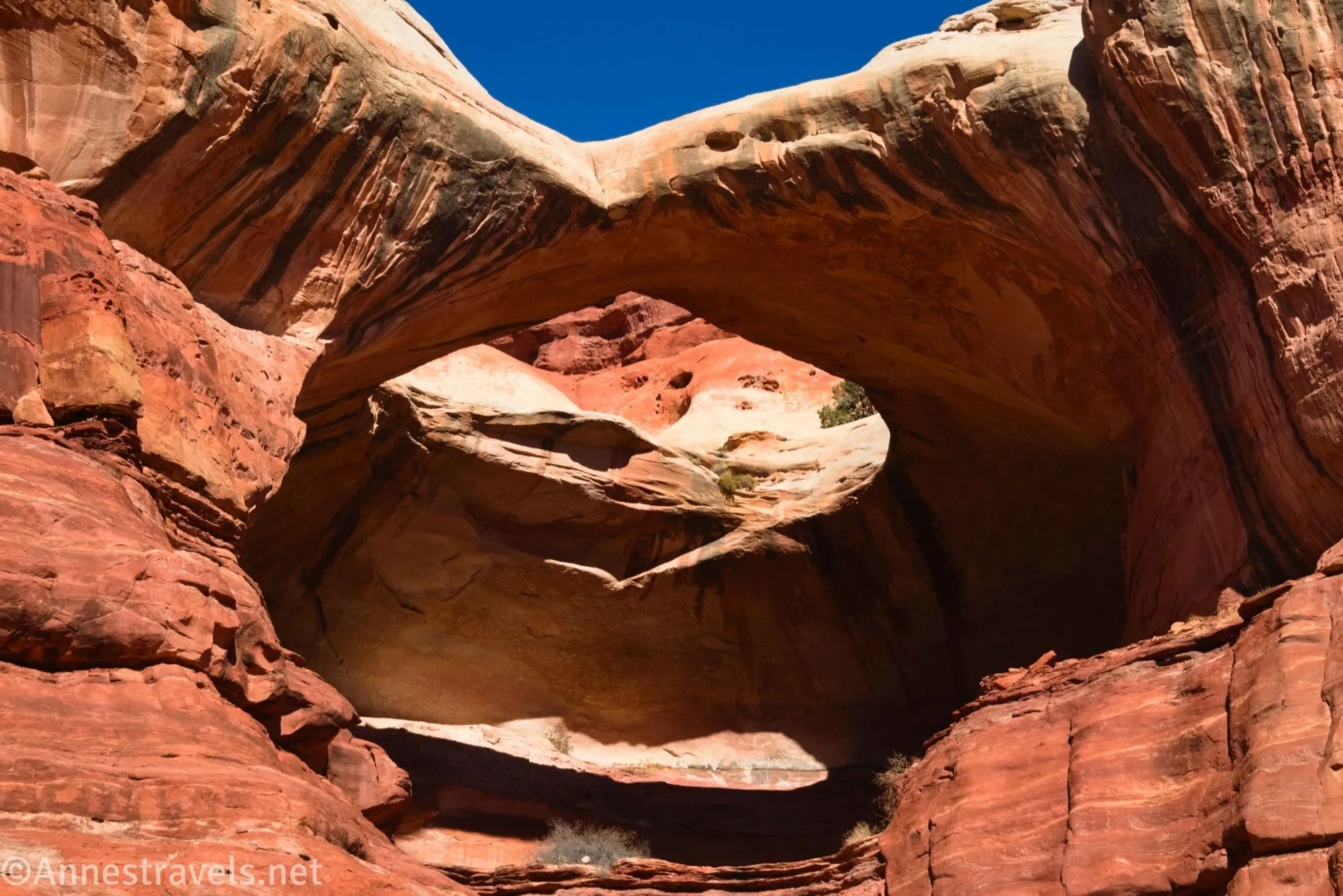 A large yellow arch with red slickrock below