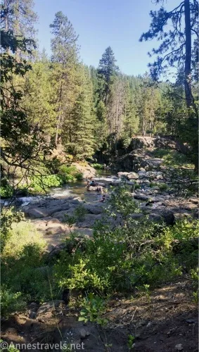 A stream passes through a forest