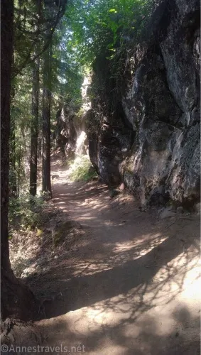 A dirt trail between a cliff face and trees