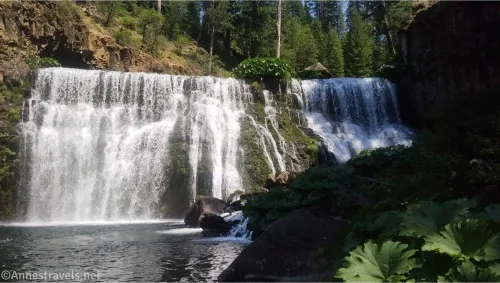 A lovely, wide waterfall with leaves and a pool in the foreground