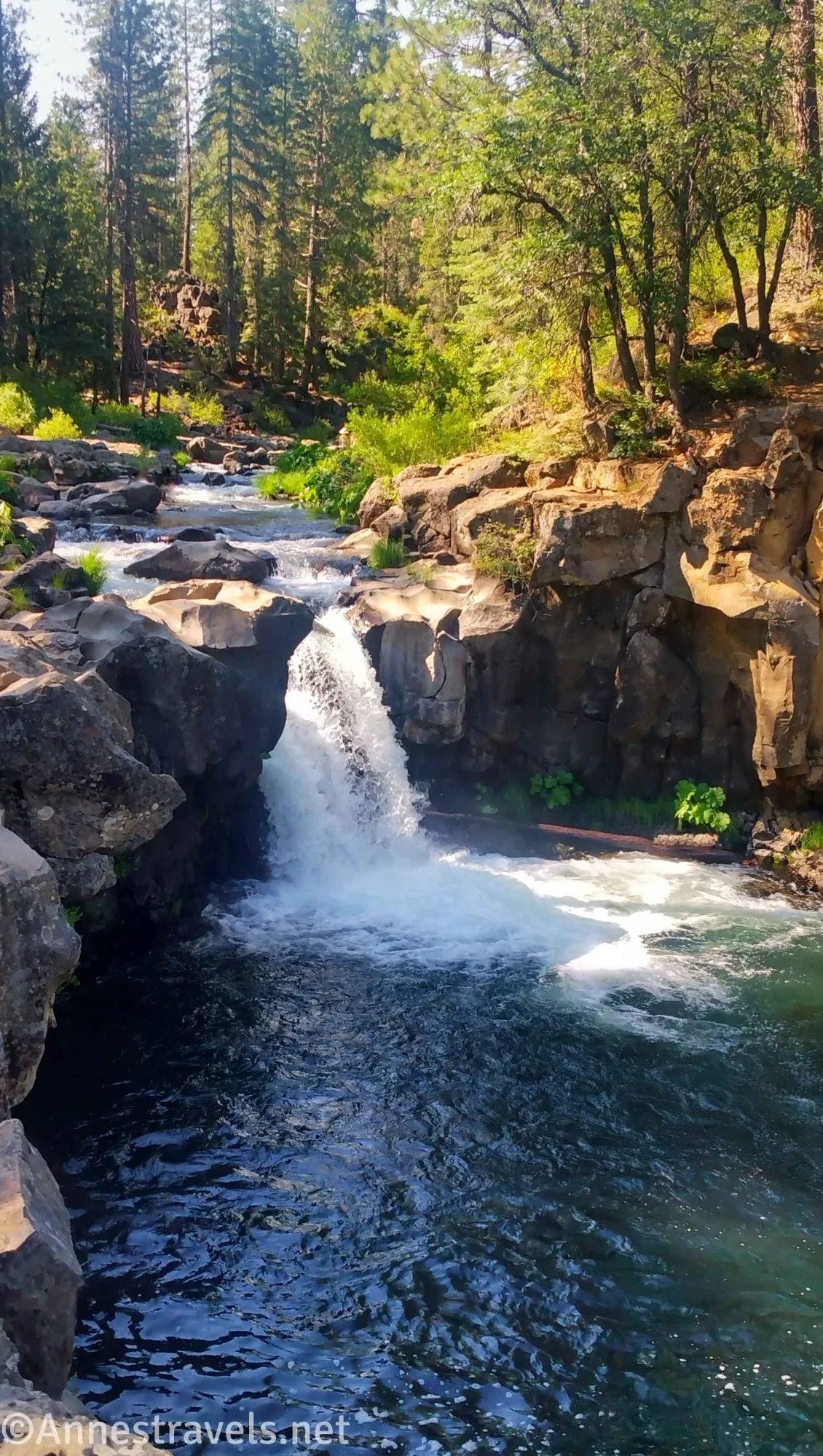 A waterfall tumbles into a green pool between rocks and greenery
