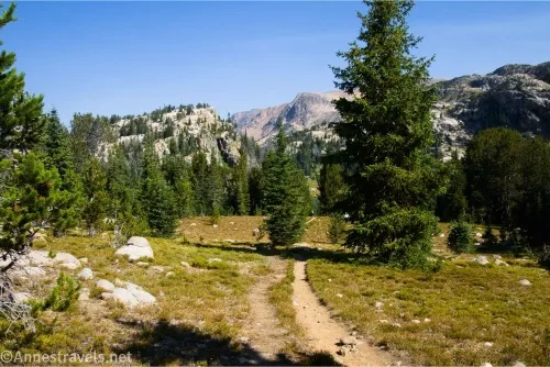 The Becker Lake Trail travels through meadows and between trees toward distant mountains 