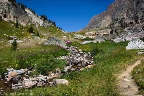 A rocky stream and a trail in meadows in an alpine valley 