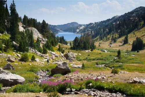 Pink and yellow wildflowers in meadows in a rocky alpine valley with a blue lake and mountains in the distance 