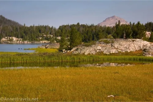 A meadow gives way to water, then a rock, then trees, then a distant mountain 