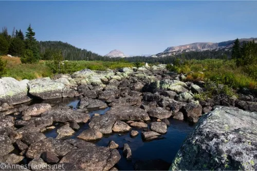 Rocks in a stream bordered by meadows with mountains in the distance 