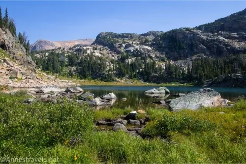 Green grass and bushes with a thin line of a lake and then rocky mountains beyond 