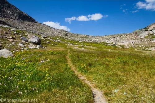 A trail leads through meadows with wildflowers to a rocky alpine pass with clouds in the sky 