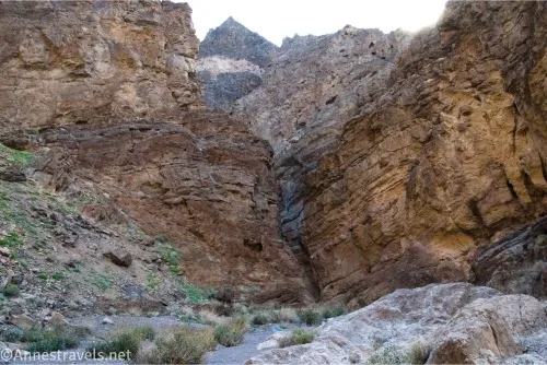 Brown cliff walls in a desert canyon 