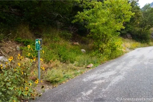 A green mile marker 7 sign surrounded by sunflowers and greenery 