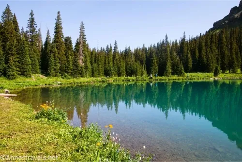 Trees like the shore of a lake with reflections of the trees 