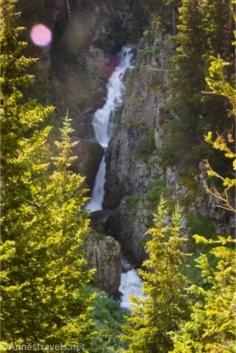 A waterfall tumbles between narrow cliffs and nearby very green fir trees
