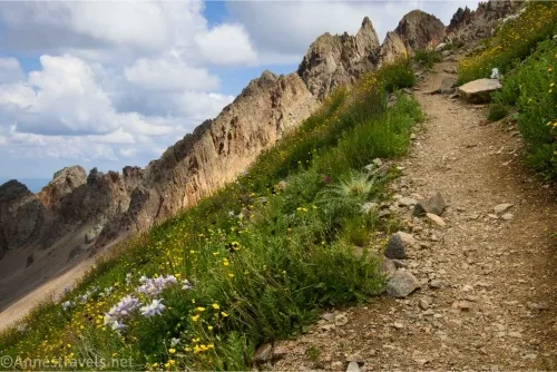 A trail beside green meadows and wildflowers on a steep slope leads toward craggy peaks and clouds