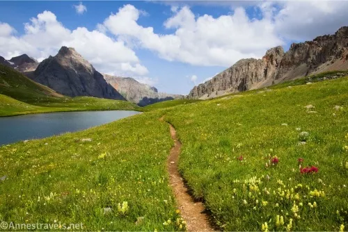 Wildflowers and a trail in a meadow beside a lake with mountains and clouds in the distance