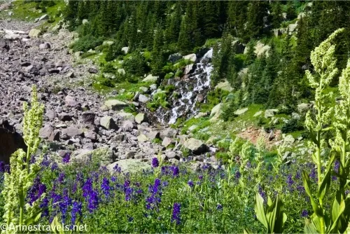 Wildflowers in the foreground with a rocky hillside and then a waterfall and trees in the background