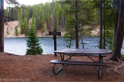 A picnic table and a sign among the trees beside a river