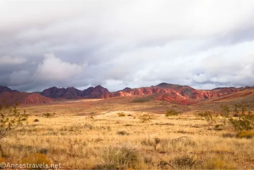 A yellow grassy plain with distant red hills and gray clouds overhead