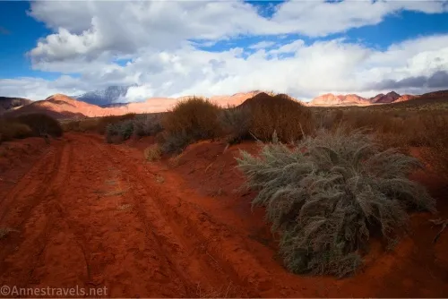 Clouds in a blue sky over red hills, a red dirt road, and green desert plaints
