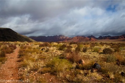A trail on a brushy desert plain with rocks with distant views of red hills and clouds above 