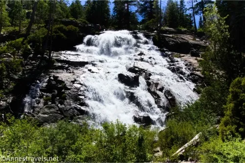 A waterfall tumbles down rocks surrounded by bushes and trees