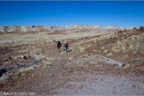 Two hikers on an old roadbed beside a desert plain and badlands 